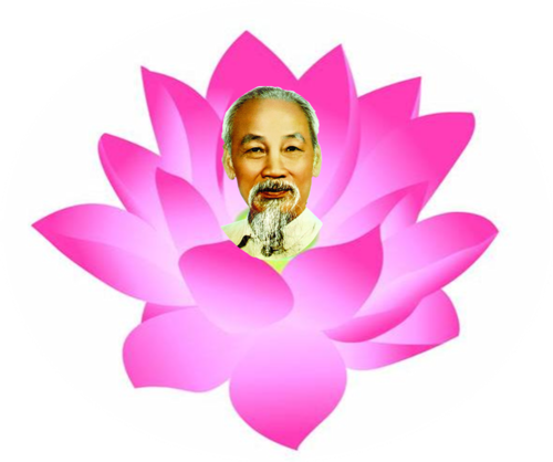 bc3a1c-he1bb93-ve1bb9bi-hoa-sen_500